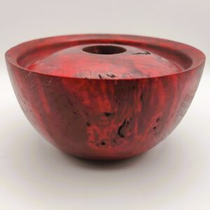 Popler Burl Hollowform