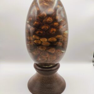 Pinecone in Resin